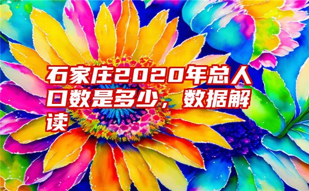 石家庄2020年总人口数是多少，数据解读