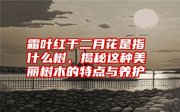 霜叶红于二月花是指什么树，揭秘这种美丽树木的特点与养护