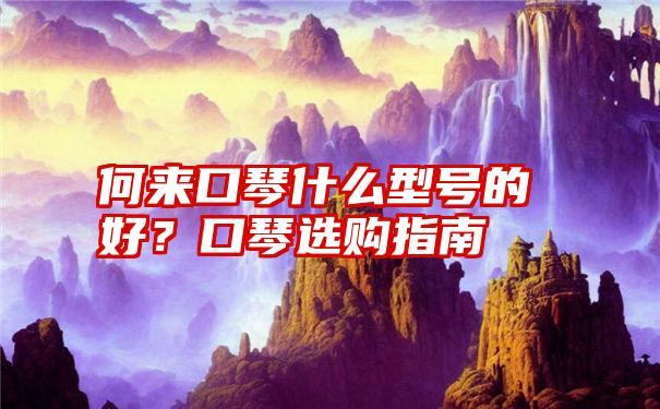 何来口琴什么型号的好？口琴选购指南