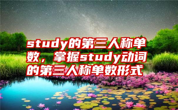 study的第三人称单数，掌握study动词的第三人称单数形式