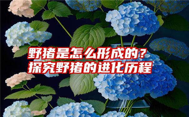 野猪是怎么形成的？探究野猪的进化历程