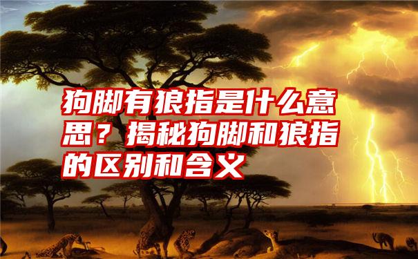 狗脚有狼指是什么意思？揭秘狗脚和狼指的区别和含义