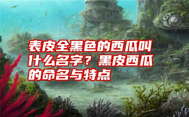 表皮全黑色的西瓜叫什么名字？黑皮西瓜的命名与特点