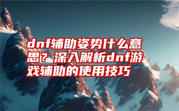 dnf辅助姿势什么意思？深入解析dnf游戏辅助的使用技巧