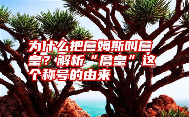 为什么把詹姆斯叫詹皇？解析“詹皇”这个称号的由来