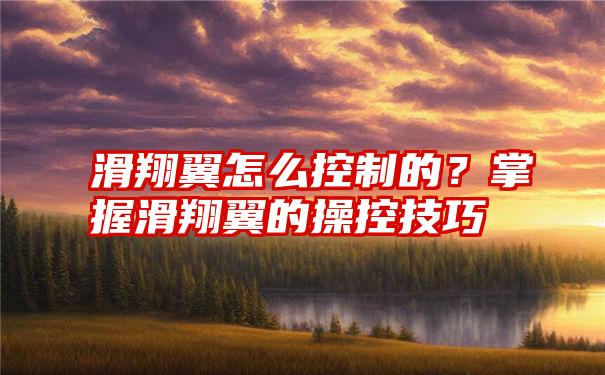 滑翔翼怎么控制的？掌握滑翔翼的操控技巧