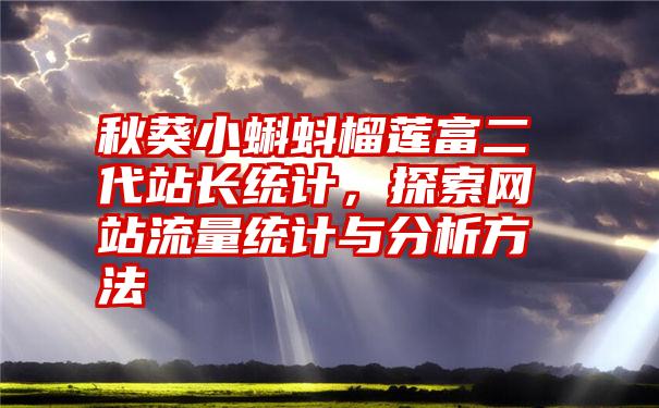 秋葵小蝌蚪榴莲富二代站长统计，探索网站流量统计与分析方法