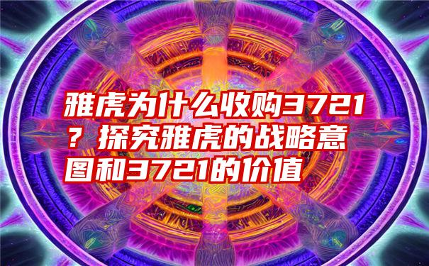 雅虎为什么收购3721？探究雅虎的战略意图和3721的价值