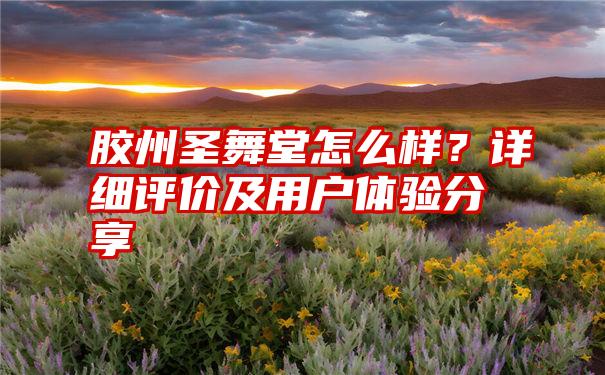 胶州圣舞堂怎么样？详细评价及用户体验分享