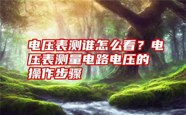 电压表测谁怎么看？电压表测量电路电压的操作步骤