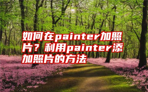 如何在painter加照片？利用painter添加照片的方法