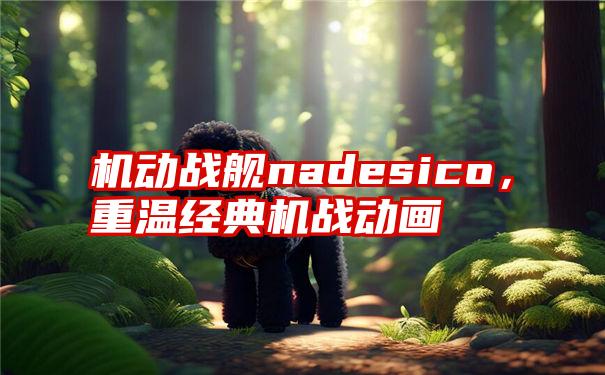 机动战舰nadesico，重温经典机战动画