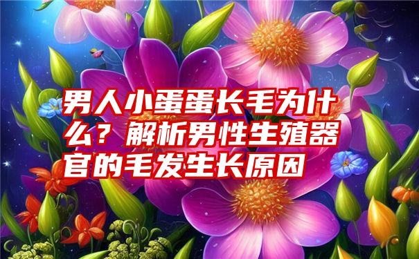 男人小蛋蛋长毛为什么？解析男性生殖器官的毛发生长原因