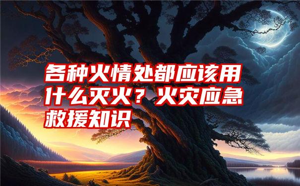 各种火情处都应该用什么灭火？火灾应急救援知识