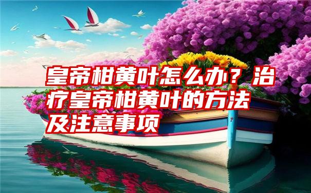 皇帝柑黄叶怎么办？治疗皇帝柑黄叶的方法及注意事项