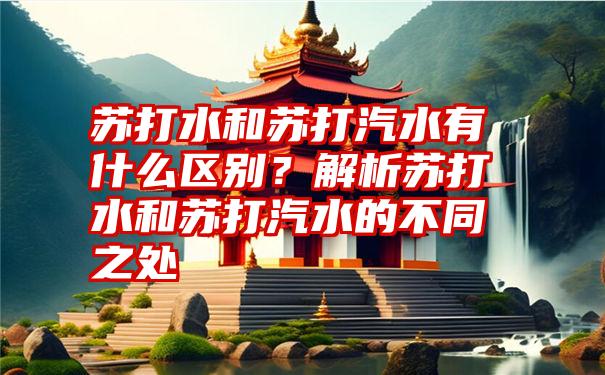 苏打水和苏打汽水有什么区别？解析苏打水和苏打汽水的不同之处