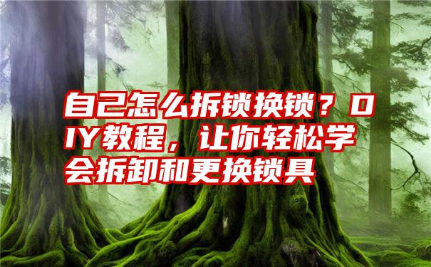 自己怎么拆锁换锁？DIY教程，让你轻松学会拆卸和更换锁具