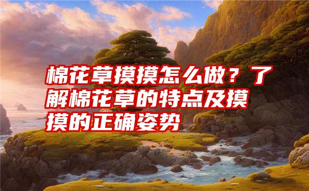 棉花草摸摸怎么做？了解棉花草的特点及摸摸的正确姿势