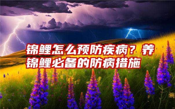 锦鲤怎么预防疾病？养锦鲤必备的防病措施