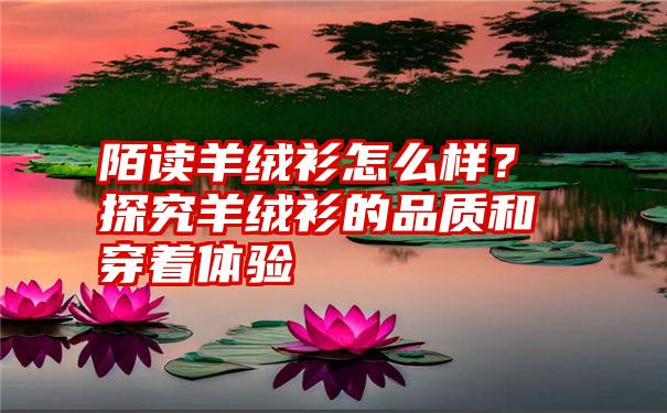 陌读羊绒衫怎么样？探究羊绒衫的品质和穿着体验