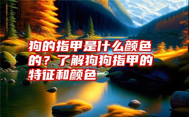 狗的指甲是什么颜色的？了解狗狗指甲的特征和颜色