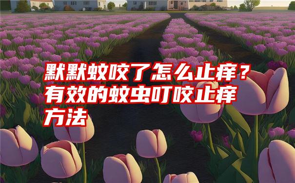 默默蚊咬了怎么止痒？有效的蚊虫叮咬止痒方法