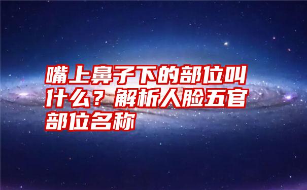 嘴上鼻子下的部位叫什么？解析人脸五官部位名称