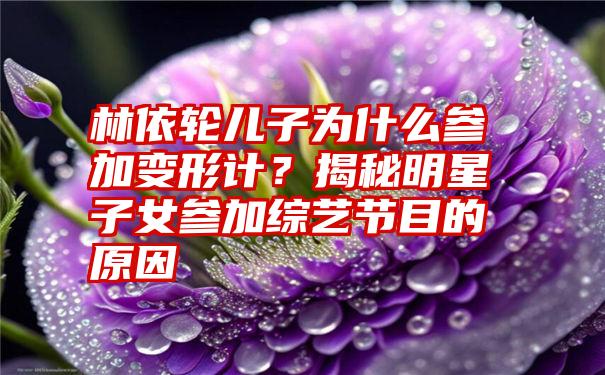 林依轮儿子为什么参加变形计？揭秘明星子女参加综艺节目的原因