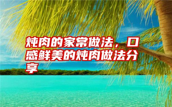 炖肉的家常做法，口感鲜美的炖肉做法分享