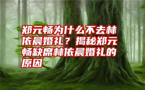 郑元畅为什么不去林依晨婚礼？揭秘郑元畅缺席林依晨婚礼的原因