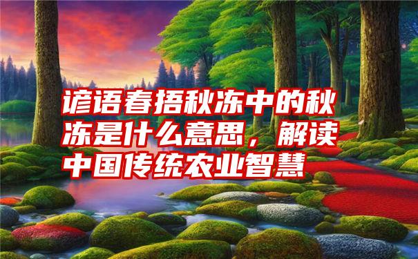 谚语春捂秋冻中的秋冻是什么意思，解读中国传统农业智慧