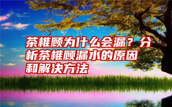 茶椎顾为什么会漏？分析茶椎顾漏水的原因和解决方法