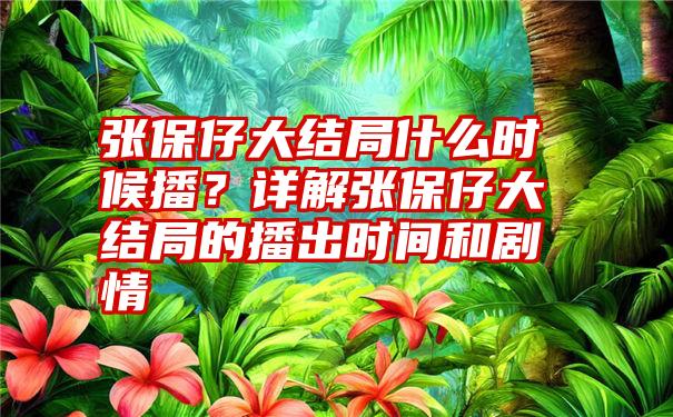 张保仔大结局什么时候播？详解张保仔大结局的播出时间和剧情