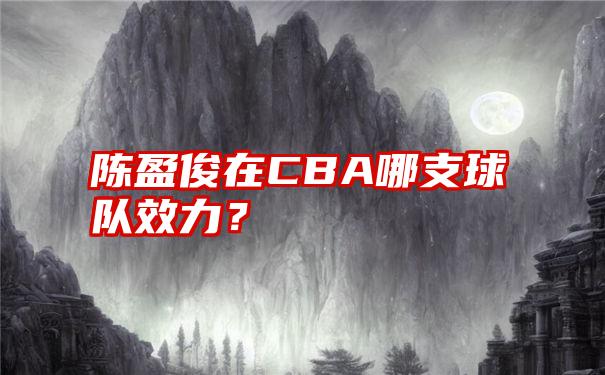 陈盈俊在CBA哪支球队效力？