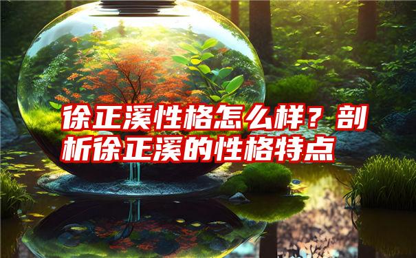 徐正溪性格怎么样？剖析徐正溪的性格特点