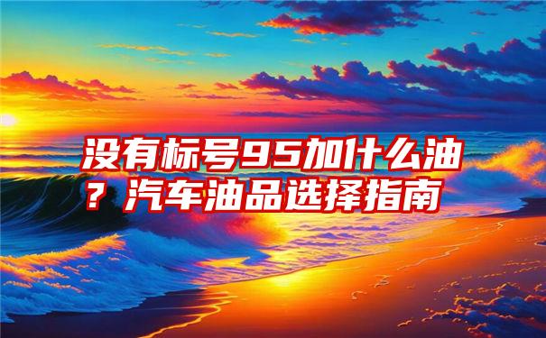 没有标号95加什么油？汽车油品选择指南