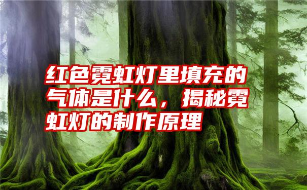 红色霓虹灯里填充的气体是什么，揭秘霓虹灯的制作原理