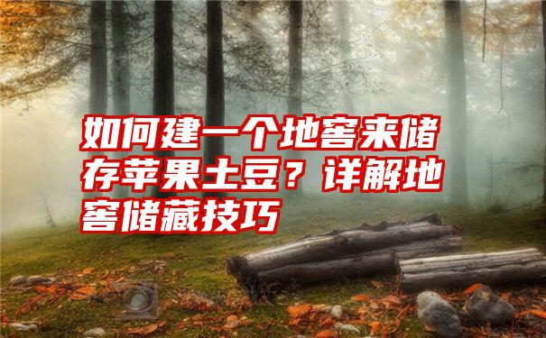 如何建一个地窖来储存苹果土豆？详解地窖储藏技巧