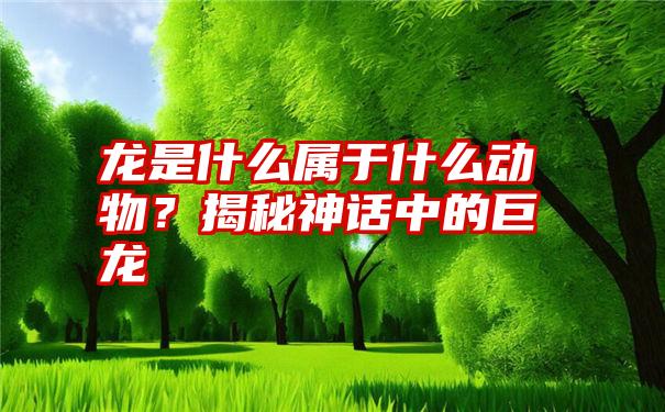 龙是什么属于什么动物？揭秘神话中的巨龙