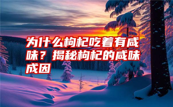 为什么枸杞吃着有咸味？揭秘枸杞的咸味成因