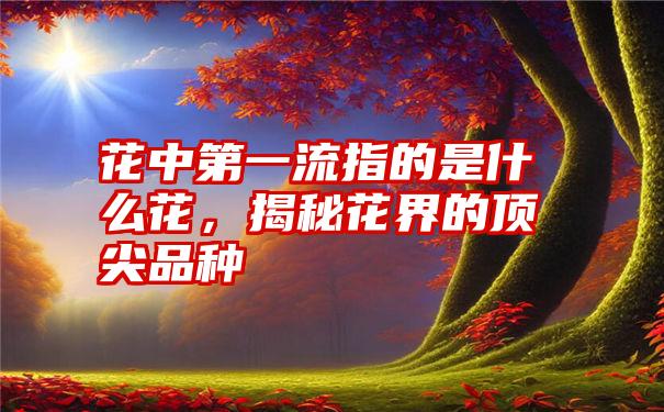 花中第一流指的是什么花，揭秘花界的顶尖品种