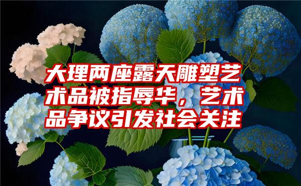 大理两座露天雕塑艺术品被指辱华，艺术品争议引发社会关注