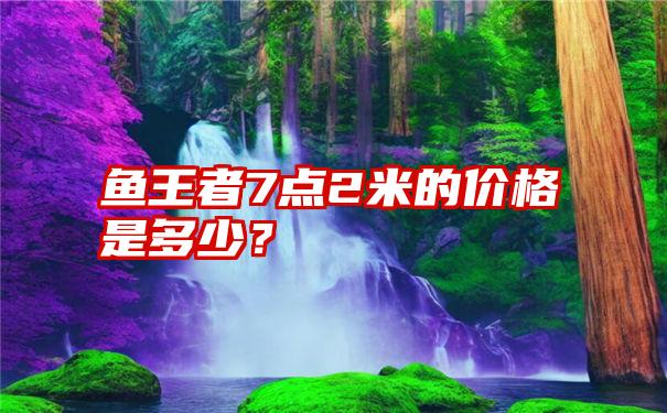 鱼王者7点2米的价格是多少？