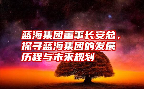 蓝海集团董事长安总，探寻蓝海集团的发展历程与未来规划