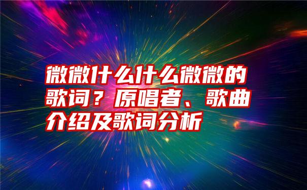 微微什么什么微微的歌词？原唱者、歌曲介绍及歌词分析