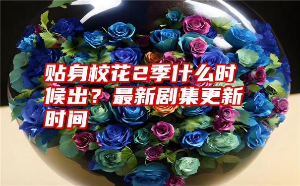 贴身校花2季什么时候出？最新剧集更新时间