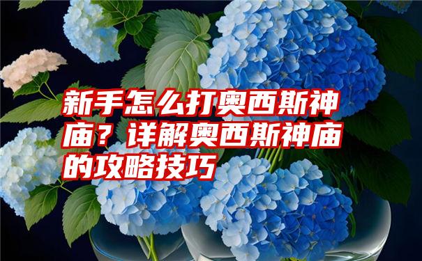 新手怎么打奥西斯神庙？详解奥西斯神庙的攻略技巧