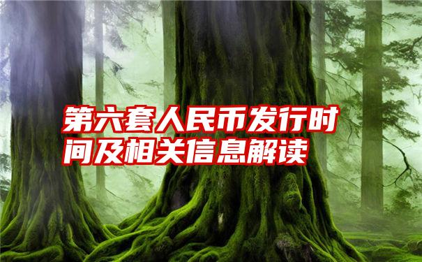 第六套人民币发行时间及相关信息解读