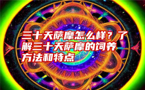 三十天萨摩怎么样？了解三十天萨摩的饲养方法和特点