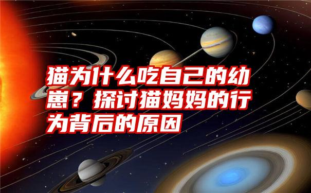 猫为什么吃自己的幼崽？探讨猫妈妈的行为背后的原因